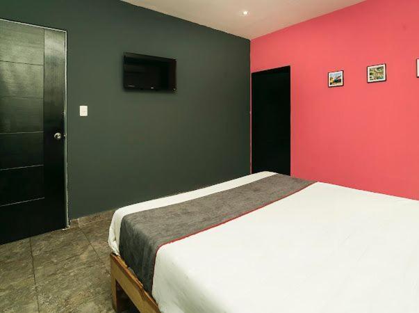 Adhoc Plaza Hotel Monterrey Buitenkant foto